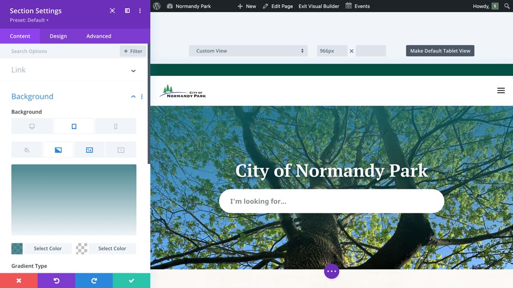 Using the Divi theme for the WordPress CMS